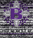 Bishop SMP
